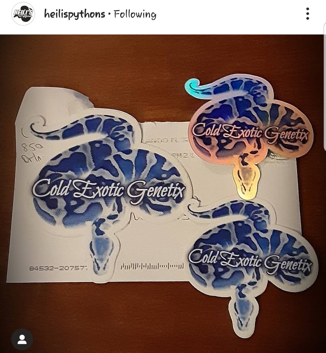 CegReptiles's tweet photo. My customers love the stickers. Thank you @stickermule !
#CEGReptiles #CEGstuff #CEGfoolery #ballpythons #reptilecollection #snake #visualart #snakescales #hypomelanistic #recessive #dominant #codominant #ballpython #stickermule #stickers #scale #scalemodel #ColdExoticGenetix https://t.co/pzmjaQBNej