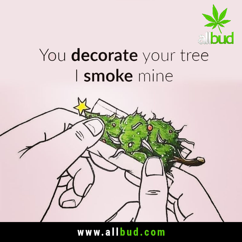 You decorate your tree, I smoke mine... 🌿🌿🌿
#allbud #cannabis #cannabisculture #highlife #saying #quotes #cannabisquotes #high #positivity #weedlife #weedlifestyle #smokeweedeveryday #enjoylife