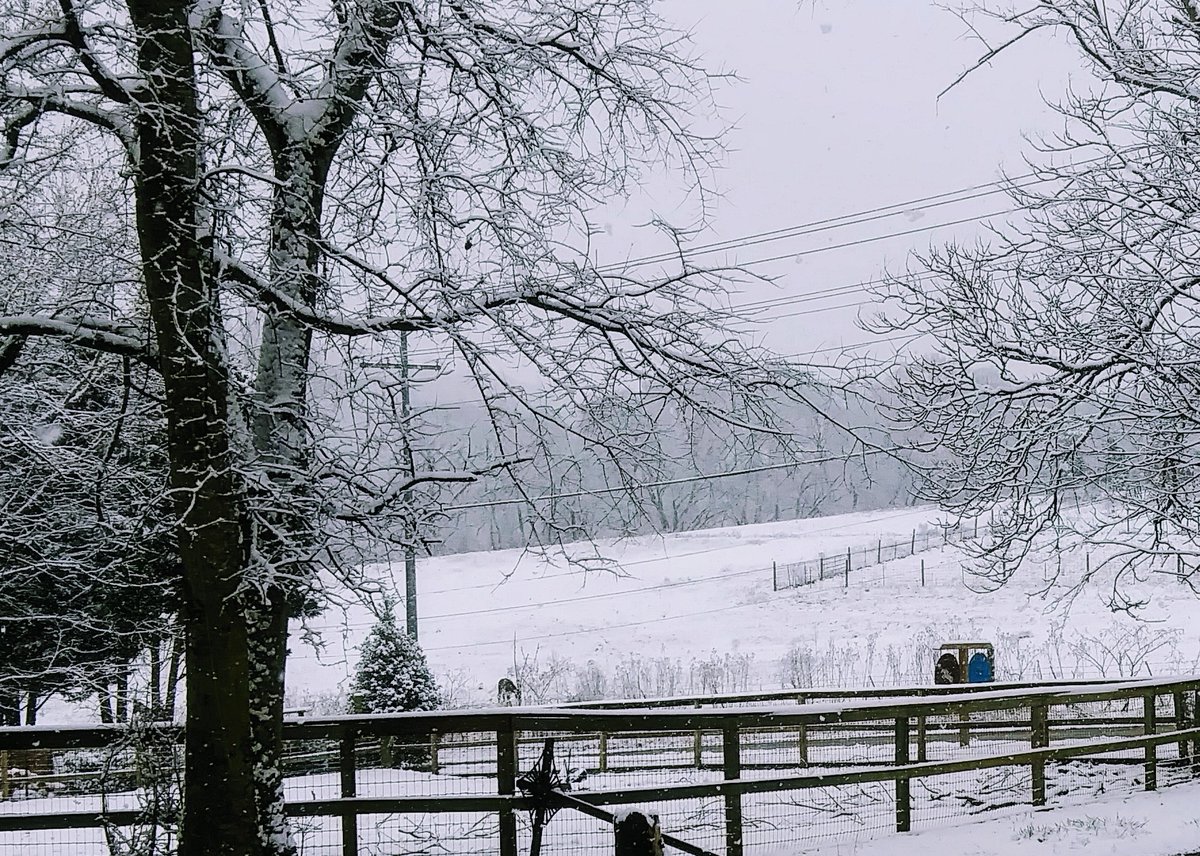 lpriceut01's tweet image. Snow Day on the Farm ❄⛄❄ #pricelessparadisefarm #littleengineerslearningacademy #fearfullyandwonderfullymade #withPricelessJules #ColourMeGraceful