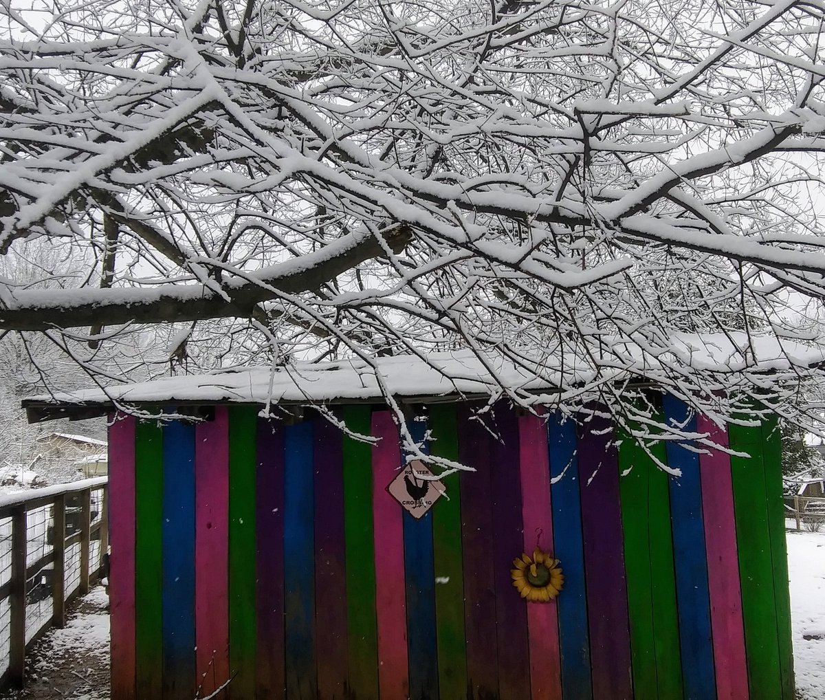 lpriceut01's tweet image. Snow Day on the Farm ❄⛄❄ #pricelessparadisefarm #littleengineerslearningacademy #fearfullyandwonderfullymade #withPricelessJules #ColourMeGraceful