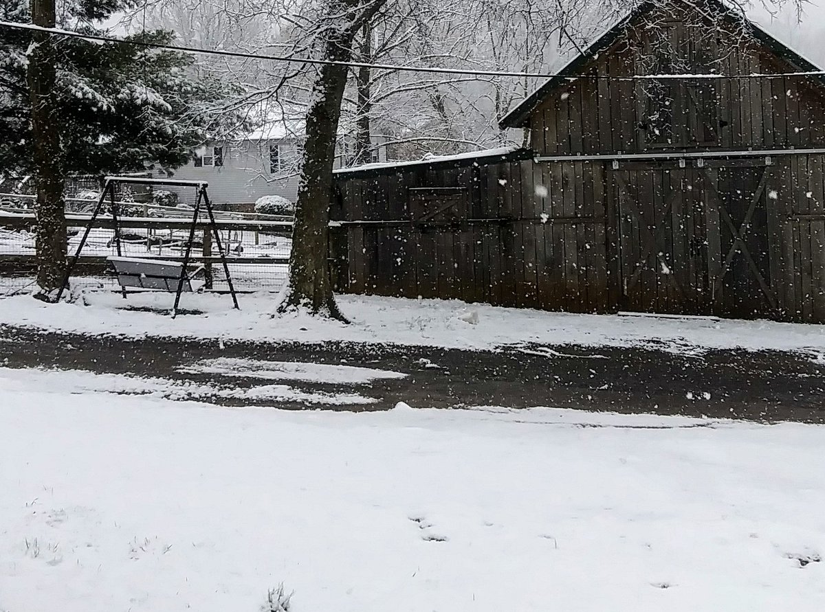 lpriceut01's tweet image. Snow Day on the Farm ❄⛄❄ #pricelessparadisefarm #littleengineerslearningacademy #fearfullyandwonderfullymade #withPricelessJules #ColourMeGraceful