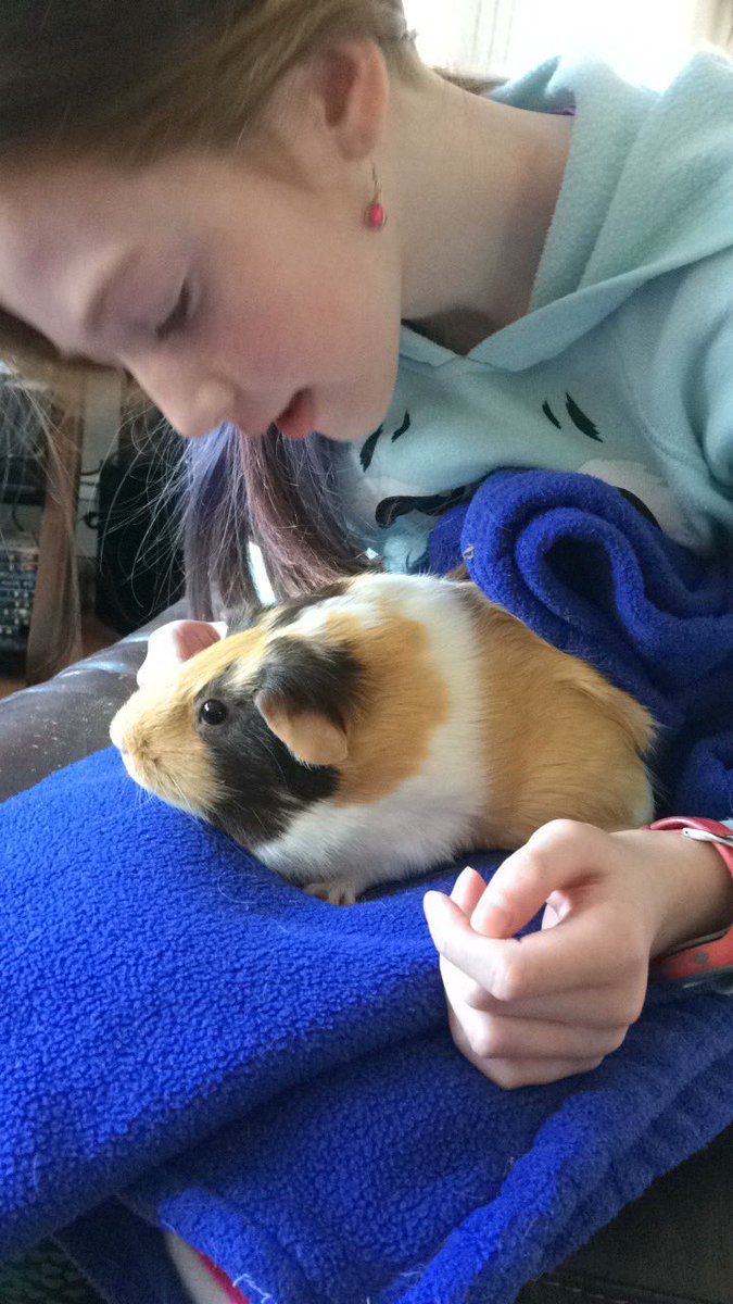 Saturday snuggles with the human. ❤️
