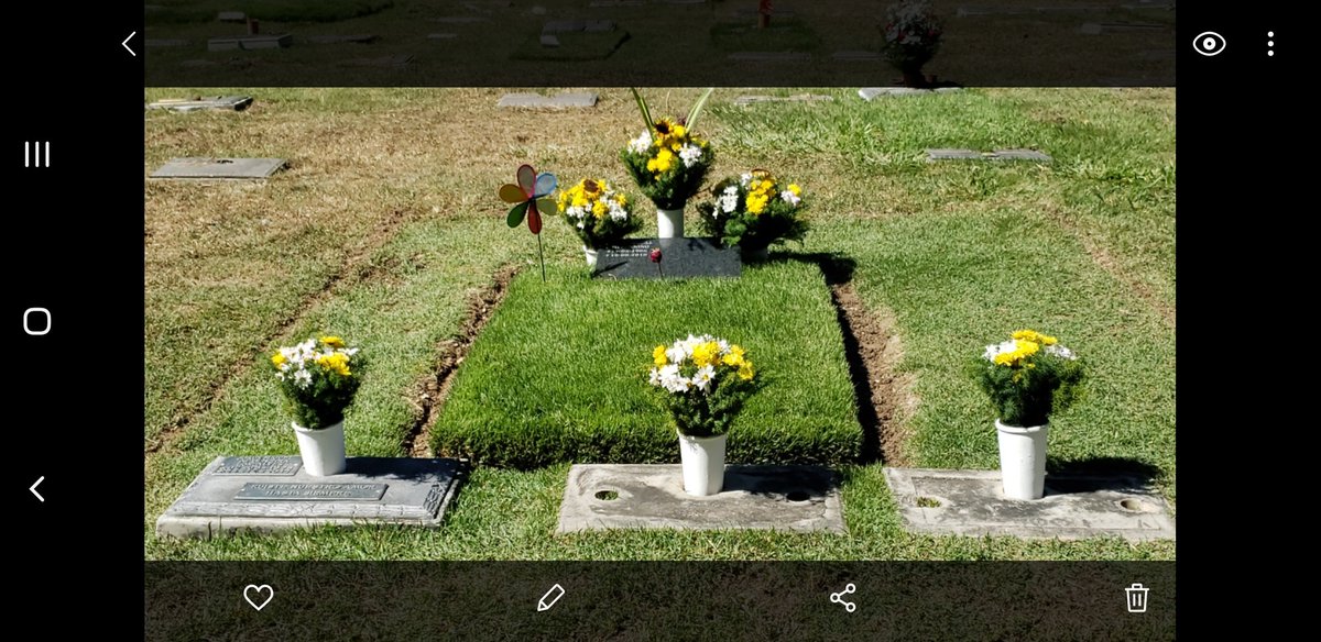 Miguel Dao Dao tweet media