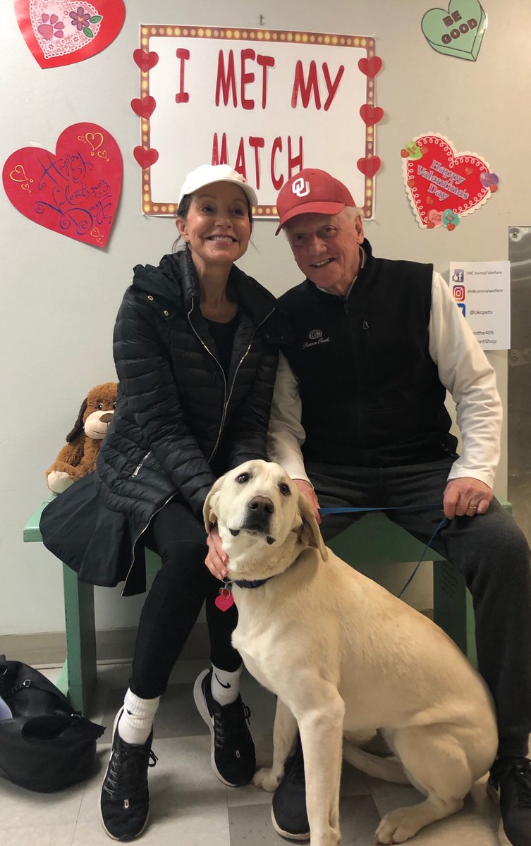 OKC Animal Welfare tweet media