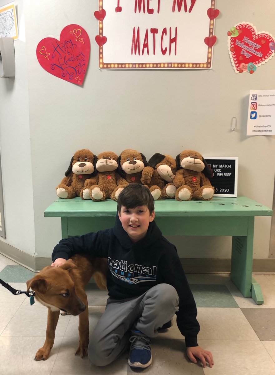 OKC Animal Welfare tweet media