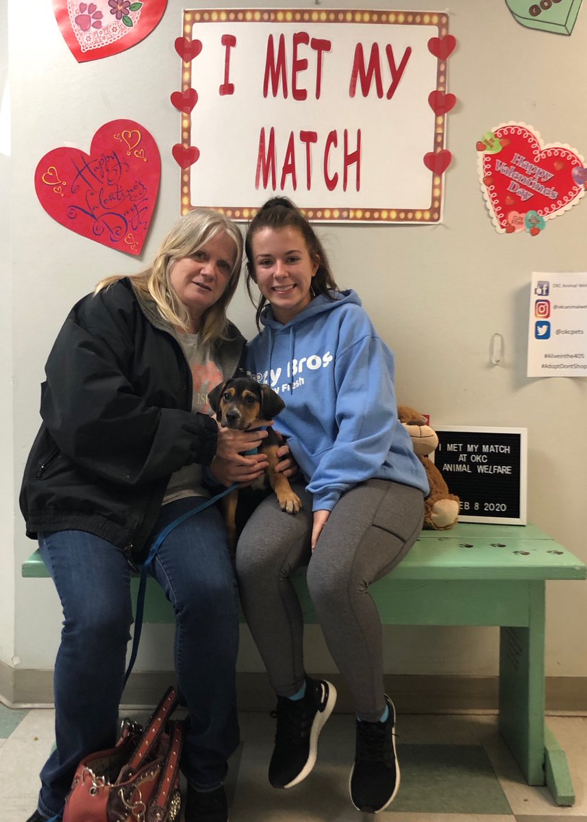 OKC Animal Welfare tweet media