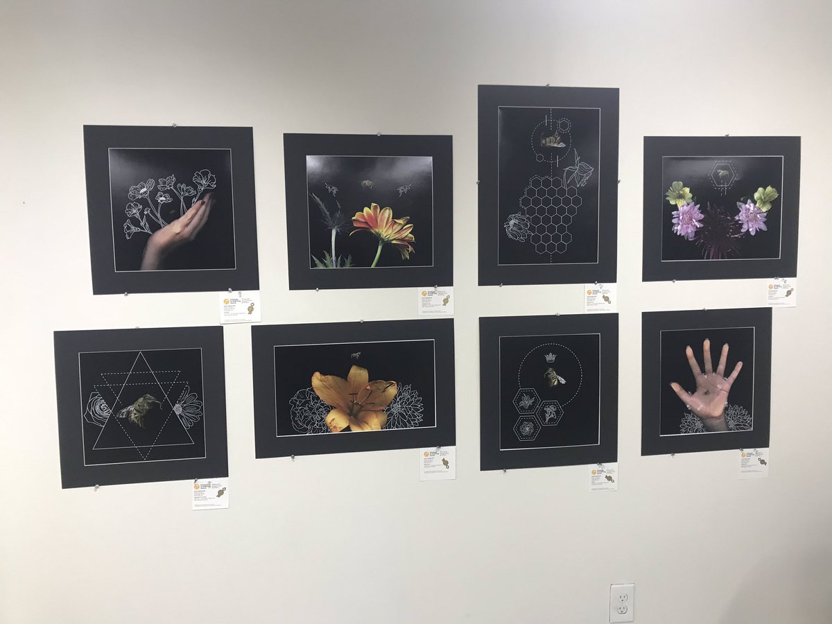 KHS Digital Media tweet media