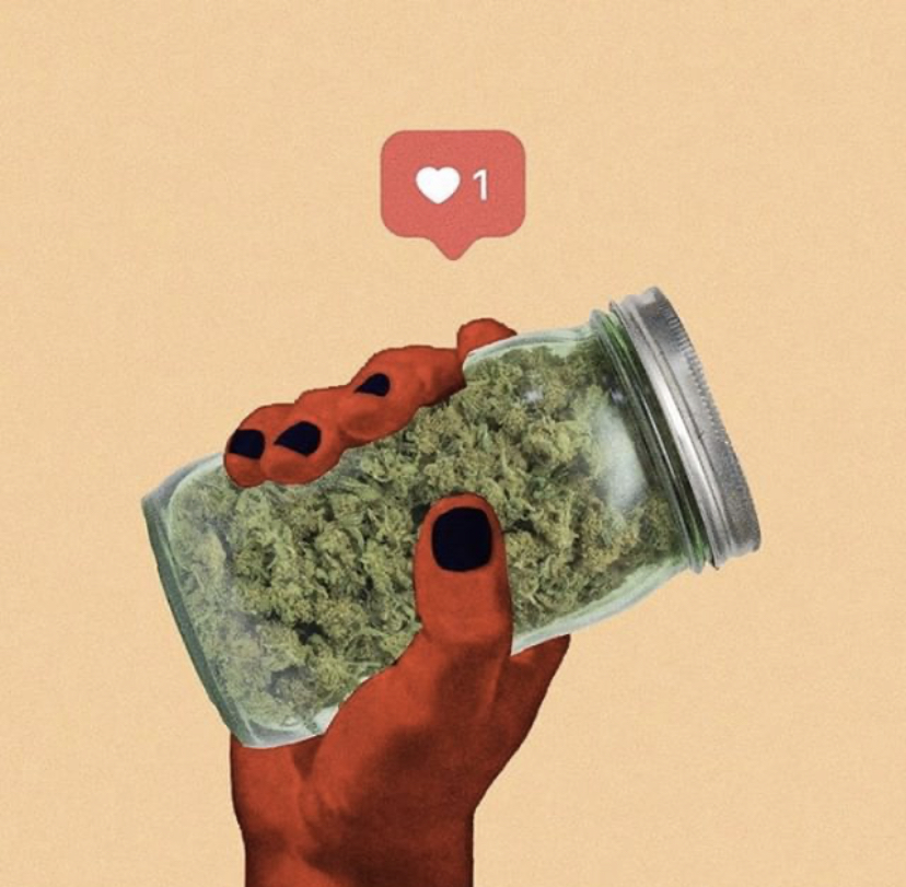 greenfirefields's tweet photo. CBD can combat a NUMBER of physical and mental illnesses including eating disorders, serotonin deficiency, insomnia, skin problems, pain and so much more! We love an organic healer!
#organichealer #cbd #cbdlife #cbdrelief #GFF #greenfirefields https://t.co/2pkWozhBZt