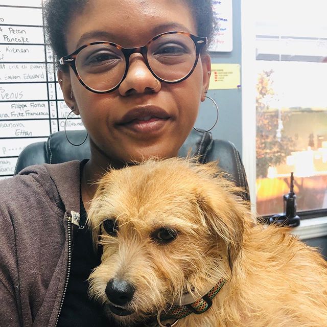 Here’s a new Cinnamon challenge for you. We challenge you, to come scoop up Cinnamon from Hotel Indigo in Hattiesburg! As the new Suite Pup, Cinnamon will be lounging around their lobby and getting lots of love from their staff members until her furever family comes. So don’t wai