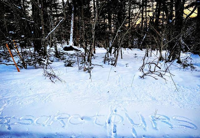 Thank you @lizwoodwydyte for #saketours on the snow☺️ 🍶❤️#sakeimmersion #sakeadventure with ⛄🐂🐑🦀🦪🦅🦌🦊🦢🍣🐟#saketours2020 @sake_tours📷 by <a href="/revtimmy/">Tim Forehand</a> ift.tt/31JrqzF