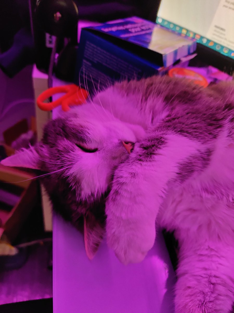 a6doff's tweet image. 