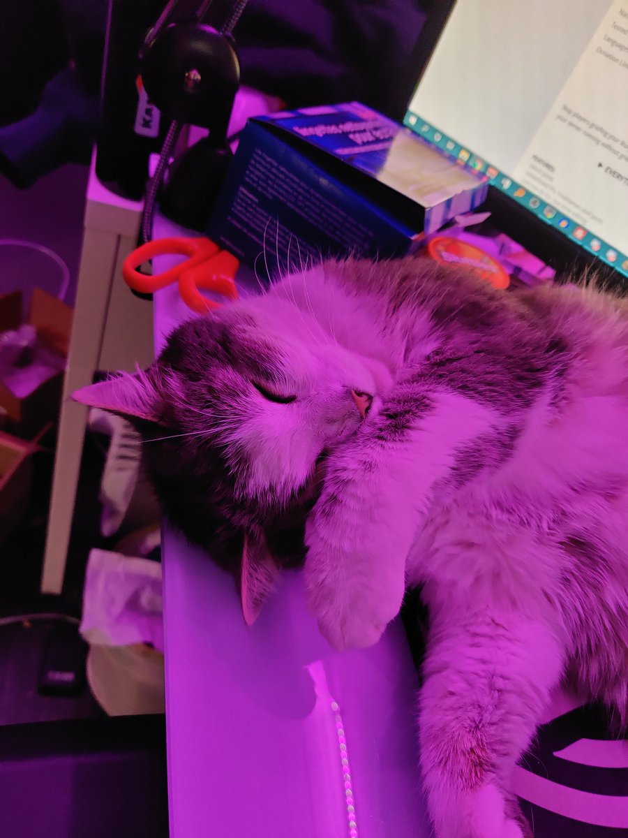 a6doff's tweet image. 