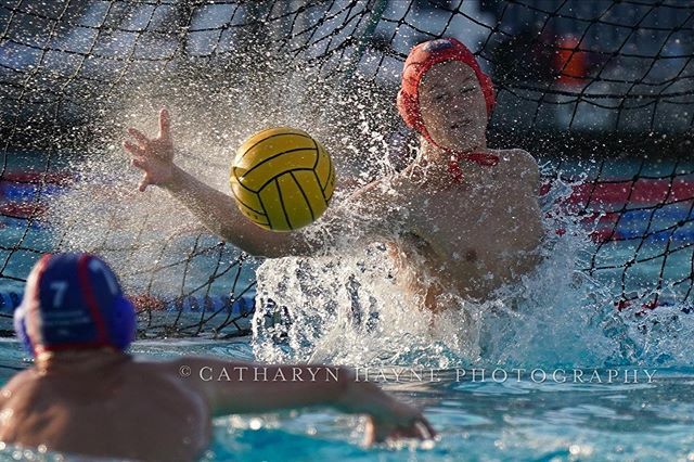catharyn4's tweet photo. 19U San Francisco Water Polo Club goalkeeper with a save vs South Bay United Water Polo. Day 1 of Kap7 Tournament. 2/8/2020 Irvine, CA #sfwpc #sanfrancisco #waterpolo #kap7 #goalkeeper #goalie #backlight #bealpha #sonyalpha #usawp #vizilabda #wasserball … https://t.co/75DCnH7a4c https://t.co/H0tVaKGy5b