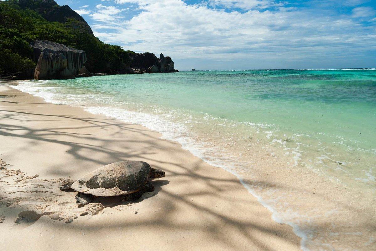 Condé Nast Traveller tweet media