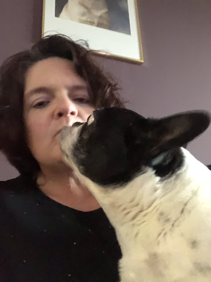 BiancatjedeV's tweet photo. En hier met mijn #fransebulldog Lizzyโค๏ธ #lieverd #senior #kussie https://t.co/25HqkOAp7D
