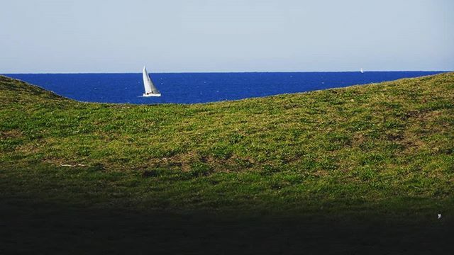Entre el cielo y el suelo hay algo.

#planeta_Bilbao #igersbizkaia #mar #vela #basquecountry #naturelovers #igerseuskadi #picoftheday #sealovers #azkorri