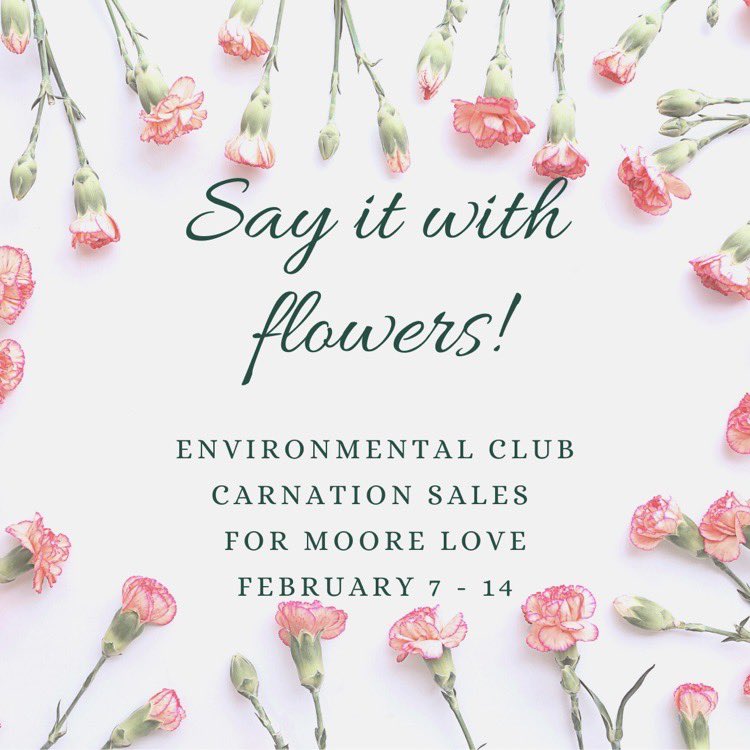 Stop and smell the roses 🌹