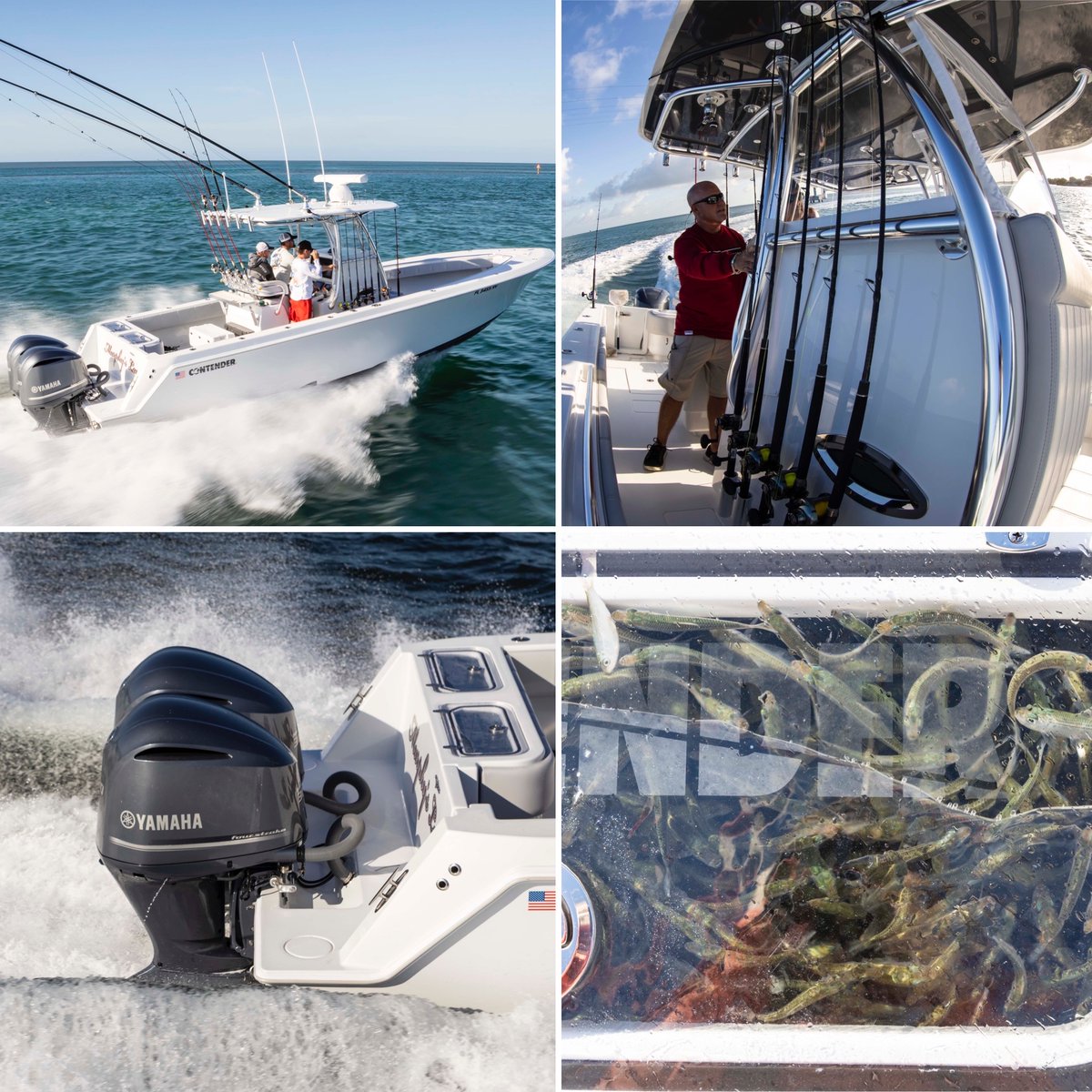 MURPHY'S LAW CONTENDER FOR SALE ‼️
@contenderboats 32ST fully equipped and powered with twin 300 <a href="/YamahaOutboards/">Yamaha Outboards</a> . For more information, contact us at 305.246.0673 or send us a email at operations@rmmedia.com 
*Serious inquires only*
<a href="/CaptRickMurphy/">Rick Murphy</a>