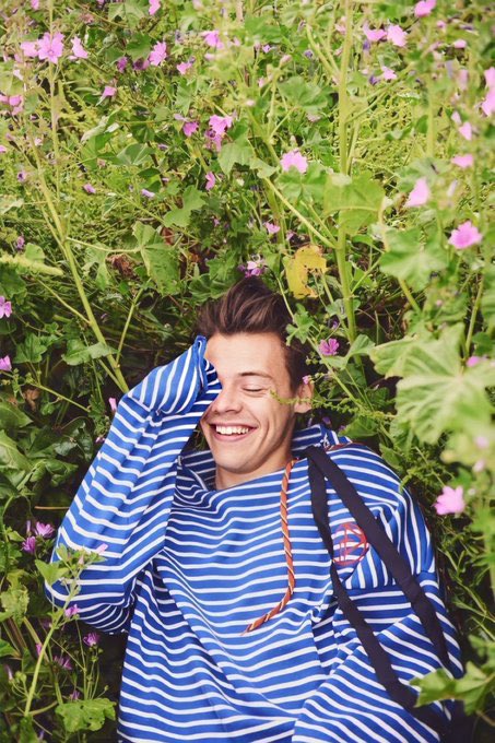 sebastian stan as harry styles; a thread