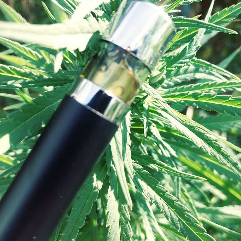 JamesSt89118821's tweet photo. WhatsApp number +1559.426.5648
Wickr:elcapone123
@cheechandchong 
#heavyvape #heavyhitters #dankvapes #dankcartridge #mariocartridges #kingpen #kingpenscartriges #cali2oklahoma #calivapers #brassknuckles #cali2dublin #cali2london🇺🇸🛬🇬🇧 #thcuk #ukplug #ukvaporizer #cbdbrothers https://t.co/3OSOU5OAZI