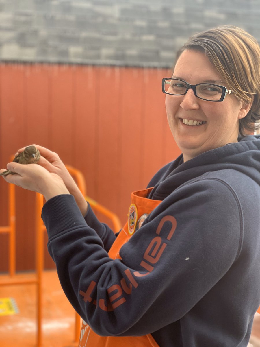 Jill is our modern day Snow White by nursing a knocked out bird back to health. 🐥 #FlyAway