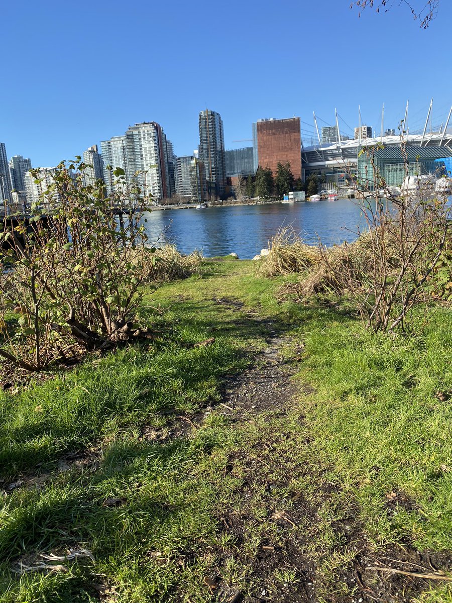 garretwoynarski's tweet image. Follow your senses. 
#simplepath #greengrass #olfactory