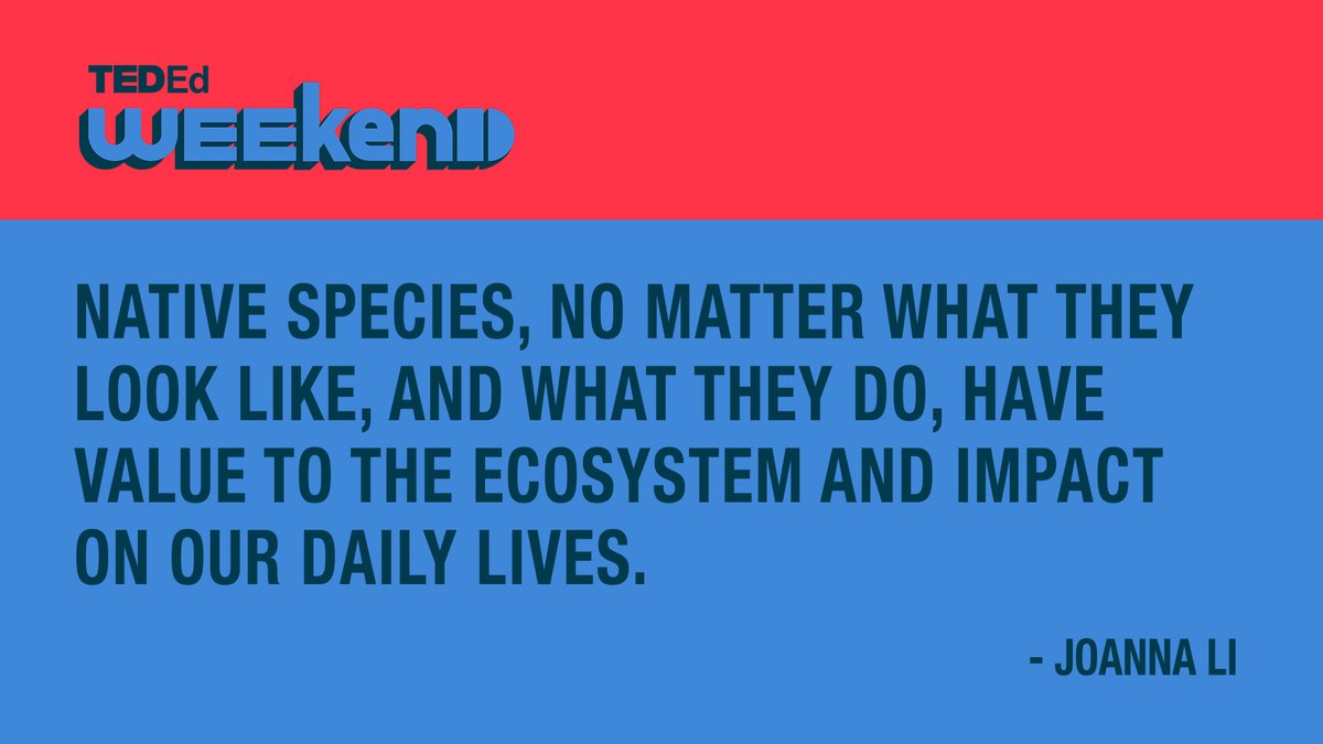TED_ED's tweet photo. #TEDEdWeekend speaker Joanna Li details how our tendency to judge based on appearance is harming species that are vital to the health of their ecosystems.

#StudentTalks https://t.co/PJUDG3Yim7
