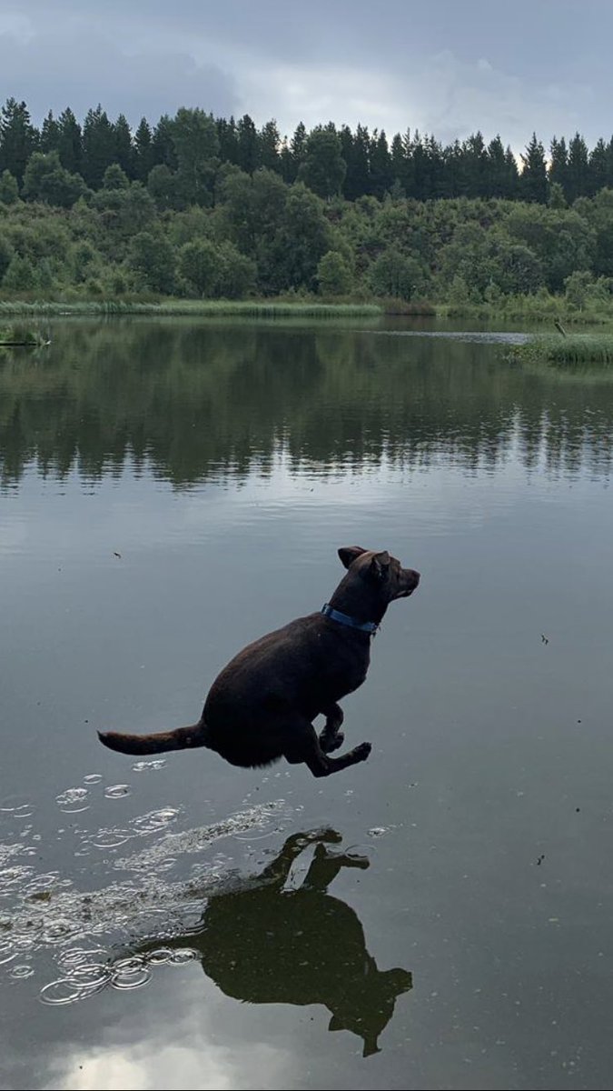 goalboss's tweet photo. @infinitycode @backt0nature Maybe, but my boy definitely is! ๐ https://t.co/TbYm75Otwj