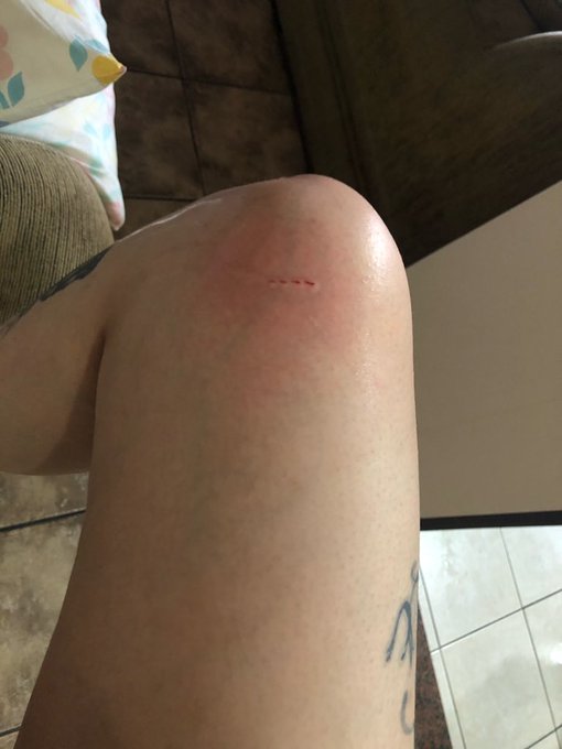 super de boa dar banho na minha gata ?? https://t.co/MBS9XHhBQ9
