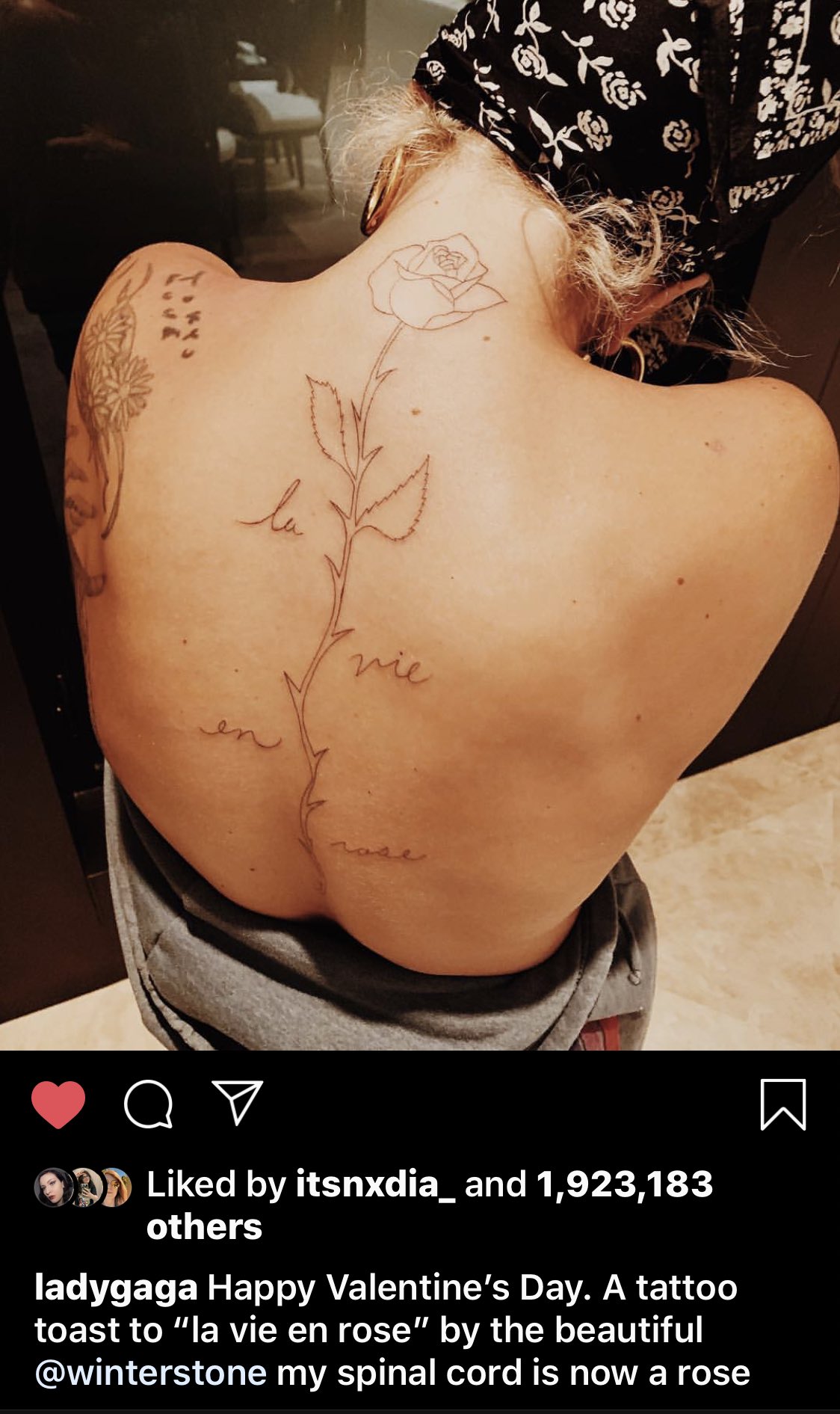 تويتر Haus Of Frankie على تويتر Personal Unofficial Lg6 Theory On V Day 19 Gaga Got Her Tribute Tattoo To Asib La Vie En Rose Life In Pink Symbolised By A Rose تويتر Haus Of Frankie على تويتر Personal Unofficial Lg6 Theory On V Day 19 Gaga Got Her Tribute Tattoo To Asib La Vie En Rose Life In Pink Symbolised By A Rose