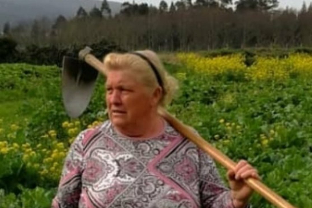 EQSUT8VWAAA4NAO?format=jpg&name=medium