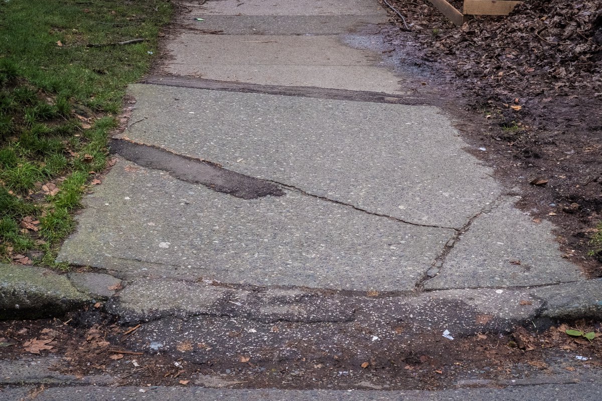 WE Choo$e Impact Team (@wechoosepb) on Twitter photo <a href="/pac_roberts/">RobertsElementaryPAC</a> <a href="/CityofVancouver/">City of Vancouver</a> <a href="/VSB39/">Vancouver School Board</a> FUNDED PROJECT: Sidewalk replacement and repairs at six locations in the West End to remove tripping hazards and enhance safety. This project is designed to improve neighbourhood mobility for those who use walkers and wheelchairs. Project value: $30,000. <a href="/pac_roberts/">RobertsElementaryPAC</a> <a href="/CityofVancouver/">City of Vancouver</a> <a href="/VSB39/">Vancouver School Board</a> FUNDED PROJECT: Sidewalk replacement and repairs at six locations in the West End to remove tripping hazards and enhance safety. This project is designed to improve neighbourhood mobility for those who use walkers and wheelchairs. Project value: $30,000.
