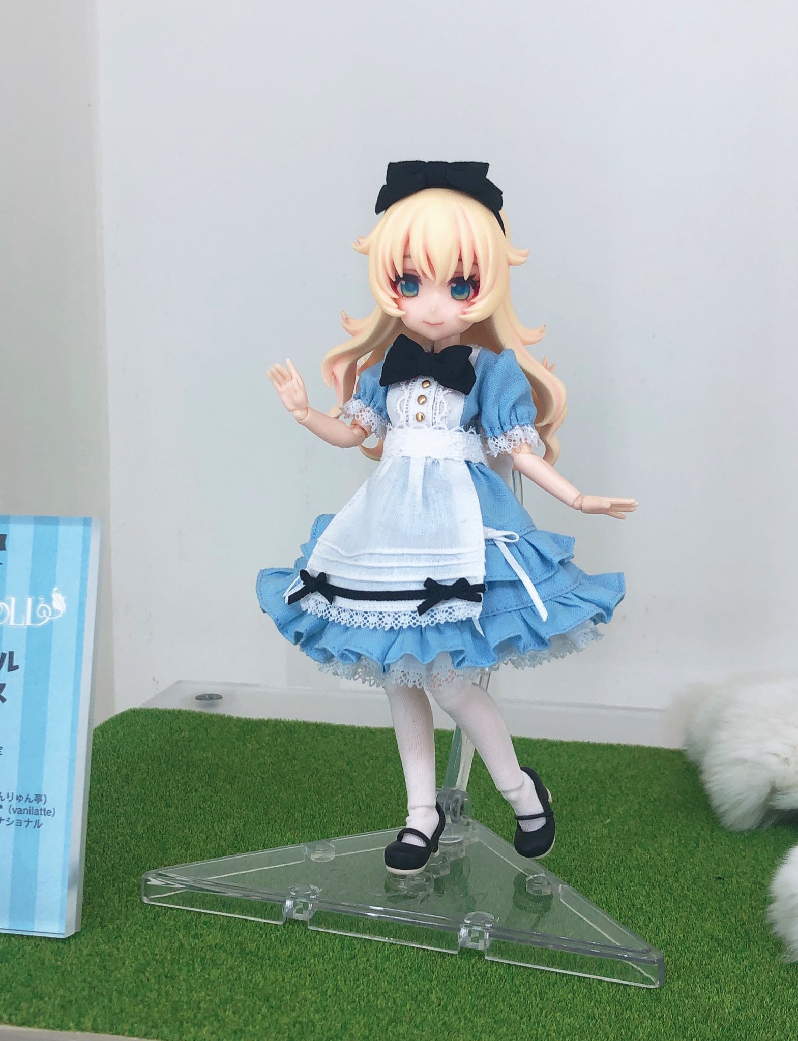 新品未開封 パルドル アリス 【公式通販】