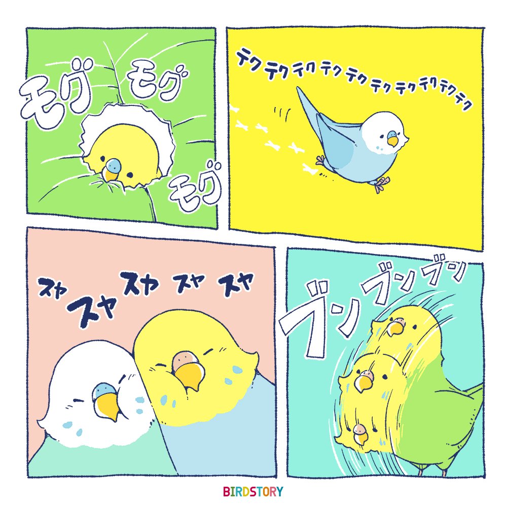 おはようございます。
本日は2月9日、マンガ家の手塚治虫さんの命日で漫画の日との事です?️
#BIRDSTORY
#漫画の日 #マンガ #セキセイインコ 