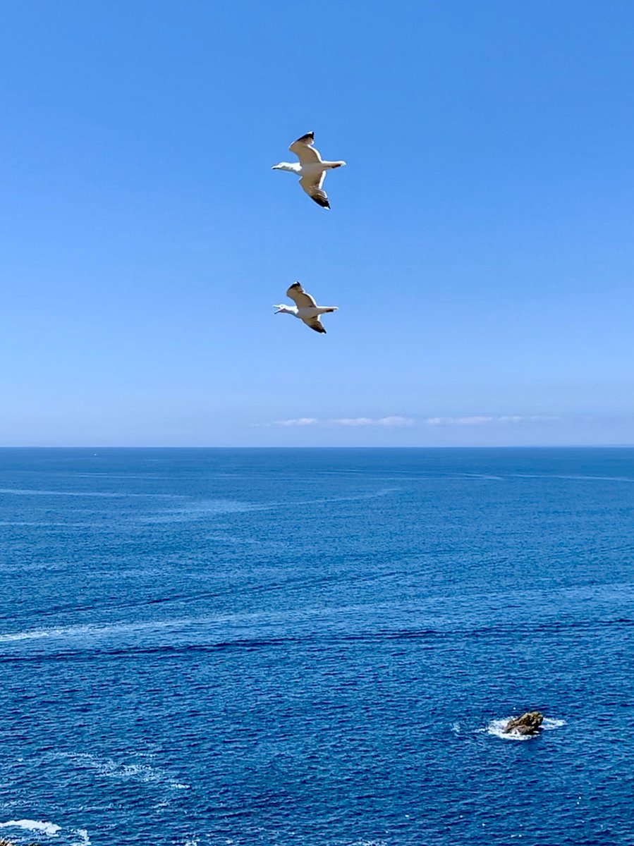 #emojiiiiiii!!! #Bzh!!!!!! #emojiBZH 
#emojiBZH #emojiBZH #emojiBZH #emojiBZH #emojiBZH #emojiBZH #emojiBZH #emojiBZH 
#emojiBZH #emojiBZH #emojiBZH #emojiBZH #emojiBZH #emojiBZH #emojiBZH #emojibzh #emojiBZH #emojiBZH #emojiBZH #emojibzh #emojiBZH #emojiBZH #emojiBZH #emojibzh