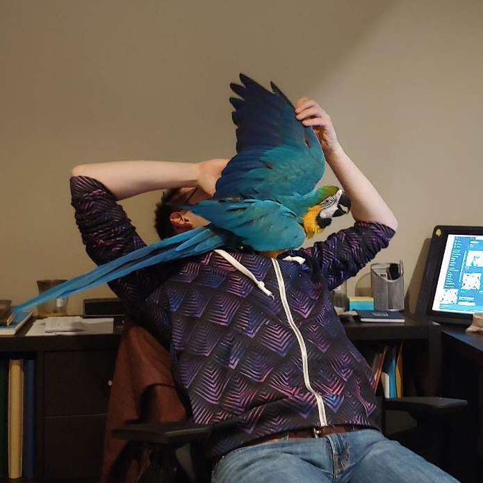 ForgeQuestRpg's tweet photo. Trying to get work done when the bird wants attention. https://t.co/CziExpnYN2