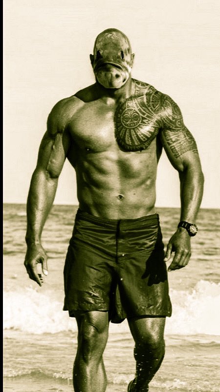 pets_as's tweet photo. The Rock Salmon https://t.co/tkyzDOPNBg