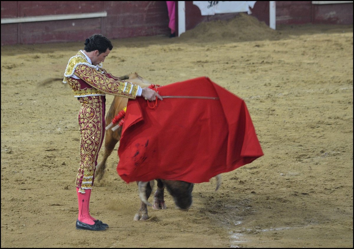 mccuntz's tweet photo. David de Miranda en #Valdemorillo @CTdeRusia https://t.co/7zfUljmnsl