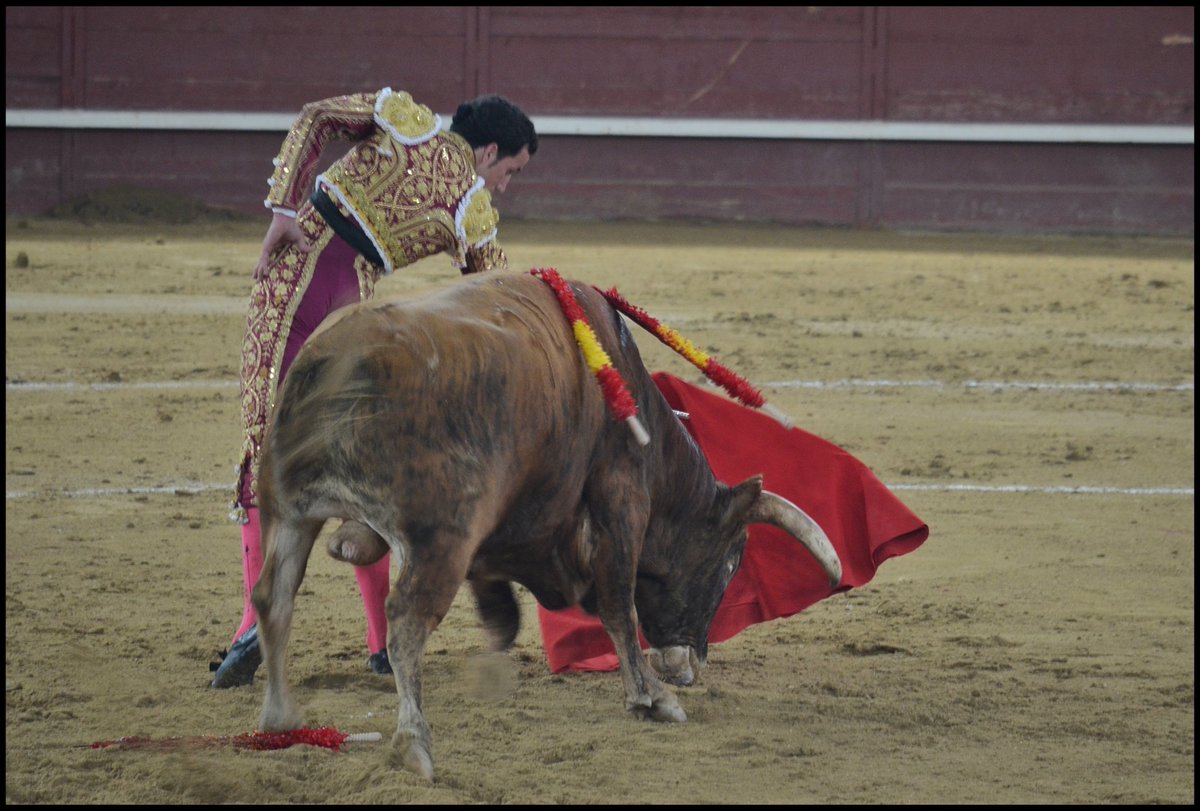 mccuntz's tweet photo. David de Miranda en #Valdemorillo @CTdeRusia https://t.co/7zfUljmnsl
