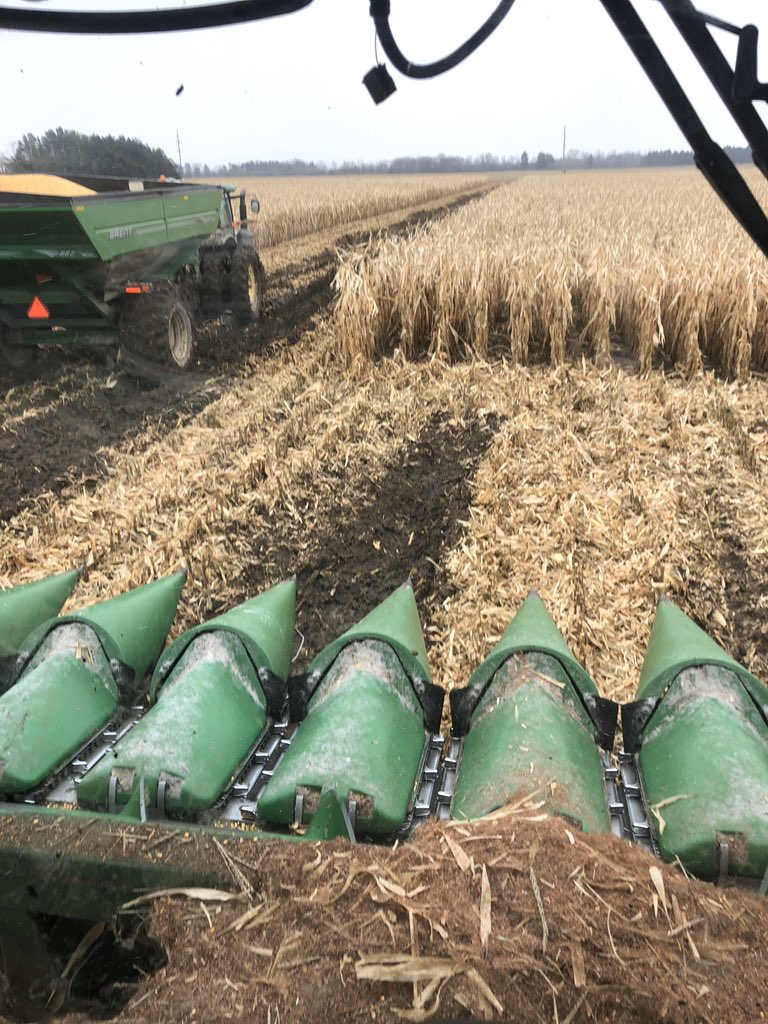 #MIYIELDCHASERS