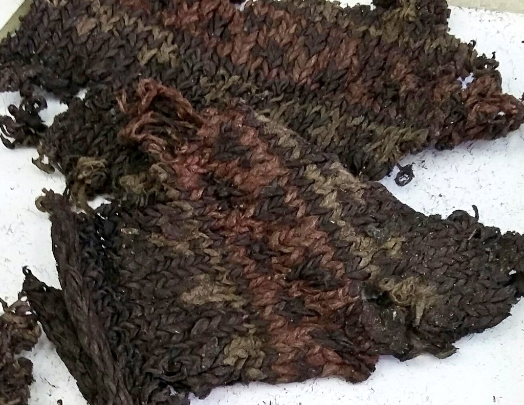 amwillemsen1's tweet photo. In the past days, I was allowed to study knitted mittens &amp; gloves from recent excavations in Tallinn, Estonia, mostly from a late 15th-early 16thC landfill. Nice patterns &amp; extraordinary well preserved colours - truly amazing! @GloversLiveryCo @Glovebook https://t.co/ovWkqrJajf