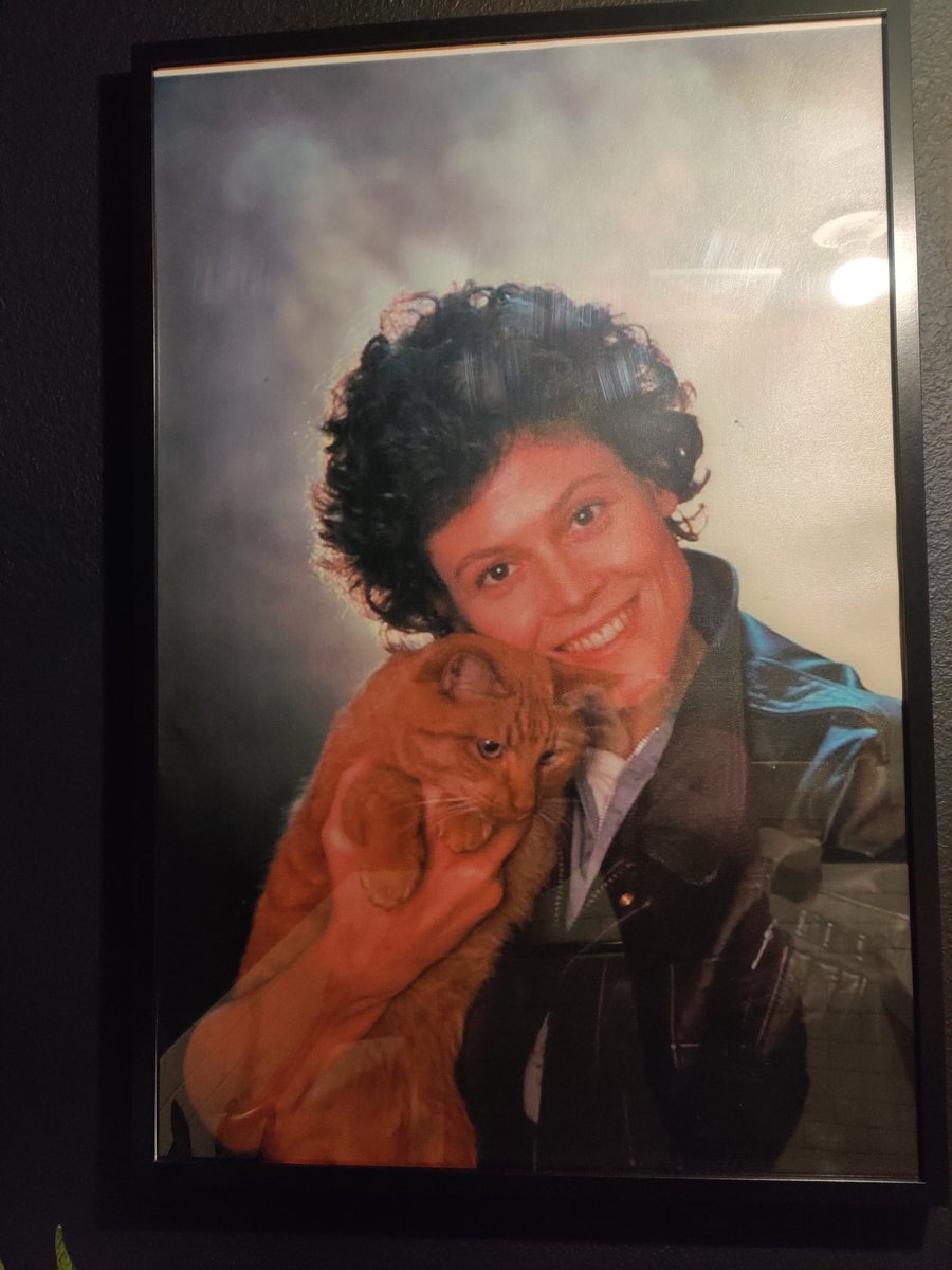 Coffee shop bathroom art