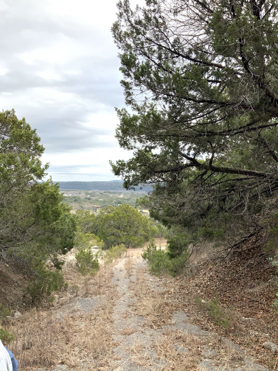 MsWoodClass's tweet photo. @LISDElemScience @ProjectWILD Life IS better outside. Thanks for the workshop today! #Reaganrays #1lisd #LisdElemScience #projectwildtx #Wildlands #Conservation #reicherranch https://t.co/iOT7UcaEdR