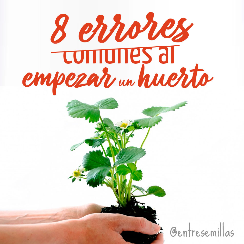 Entresemillas's tweet photo. 🚨🚨🚨 Cuando las plantas no crecen bastante, hay problemas en las hojas o directamente no llegan a salir de la tierra, sabes que algo le pasa a tu huerto ✍ Estos son algunos de los errores más comunes que cometemos a la hora de trabajar en el huerto. [EN HILO]
#huertourbano https://t.co/R9NLhawYqx