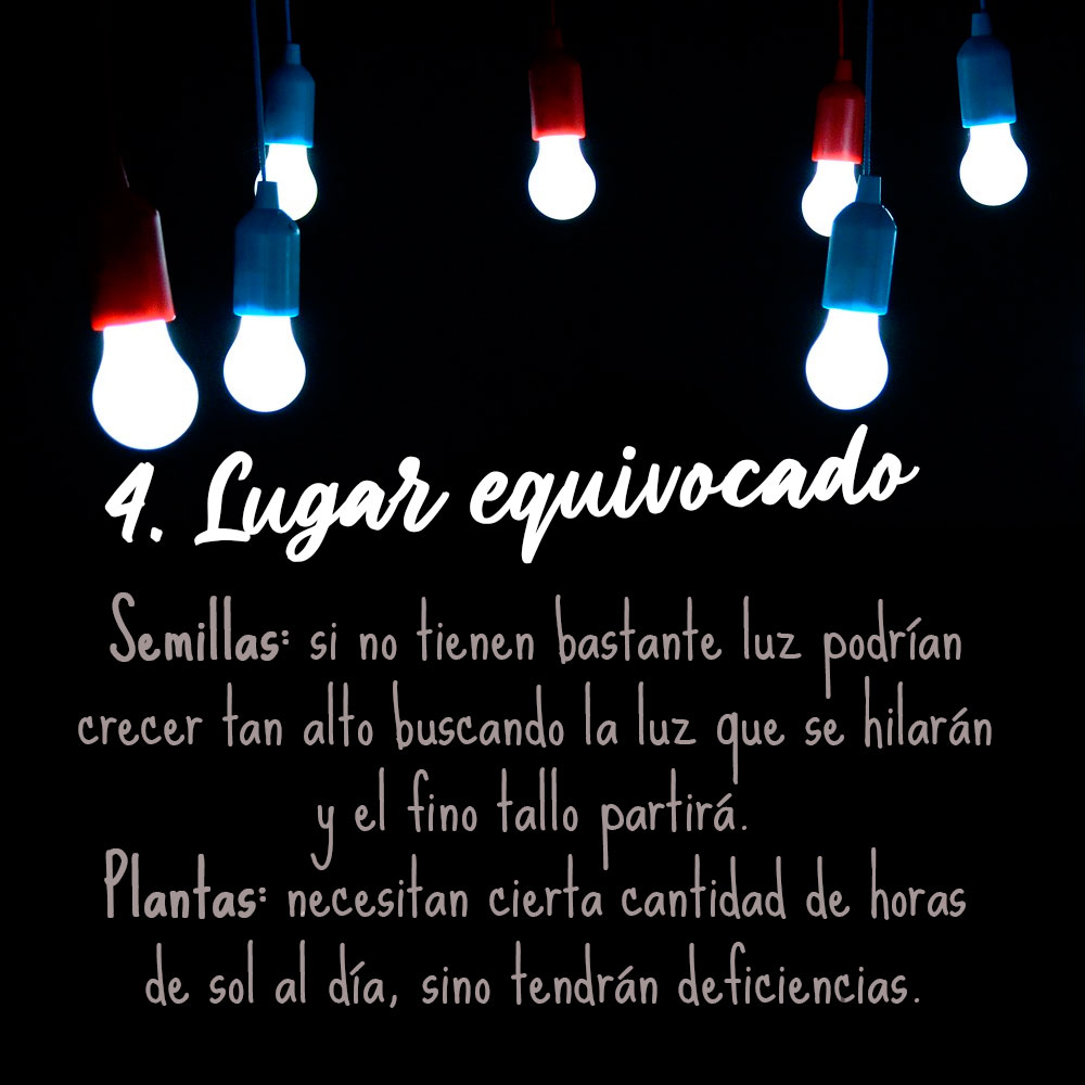Entresemillas's tweet photo. https://t.co/1ooxiM2stY