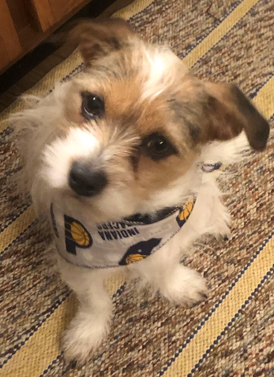 pegspaws's tweet image. #hickorygamenight GO PACERS!! 🏀
