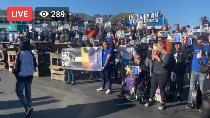 DxEverywhere's tweet photo. LIVE: Taking over Ben and Jerry's with calf hutches and a rooftop disruption to protest the cruelty of the dairy industry. Sign our open letter at https://t.co/euwLzwkqWE urging @BernieSanders to #LetDairyDie!
WATCH HERE:
https://t.co/1ebkqW24vO https://t.co/shpNWTtWiq