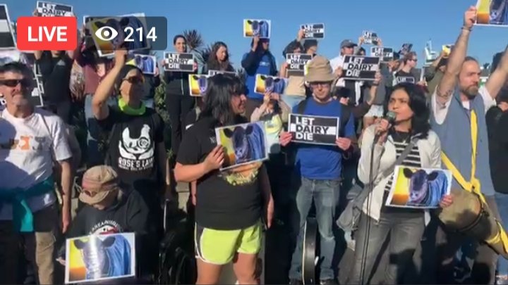 DxEverywhere's tweet photo. LIVE: Taking over Ben and Jerry's with calf hutches and a rooftop disruption to protest the cruelty of the dairy industry. Sign our open letter at https://t.co/euwLzwkqWE urging @BernieSanders to #LetDairyDie!
WATCH HERE:
https://t.co/1ebkqW24vO https://t.co/shpNWTtWiq