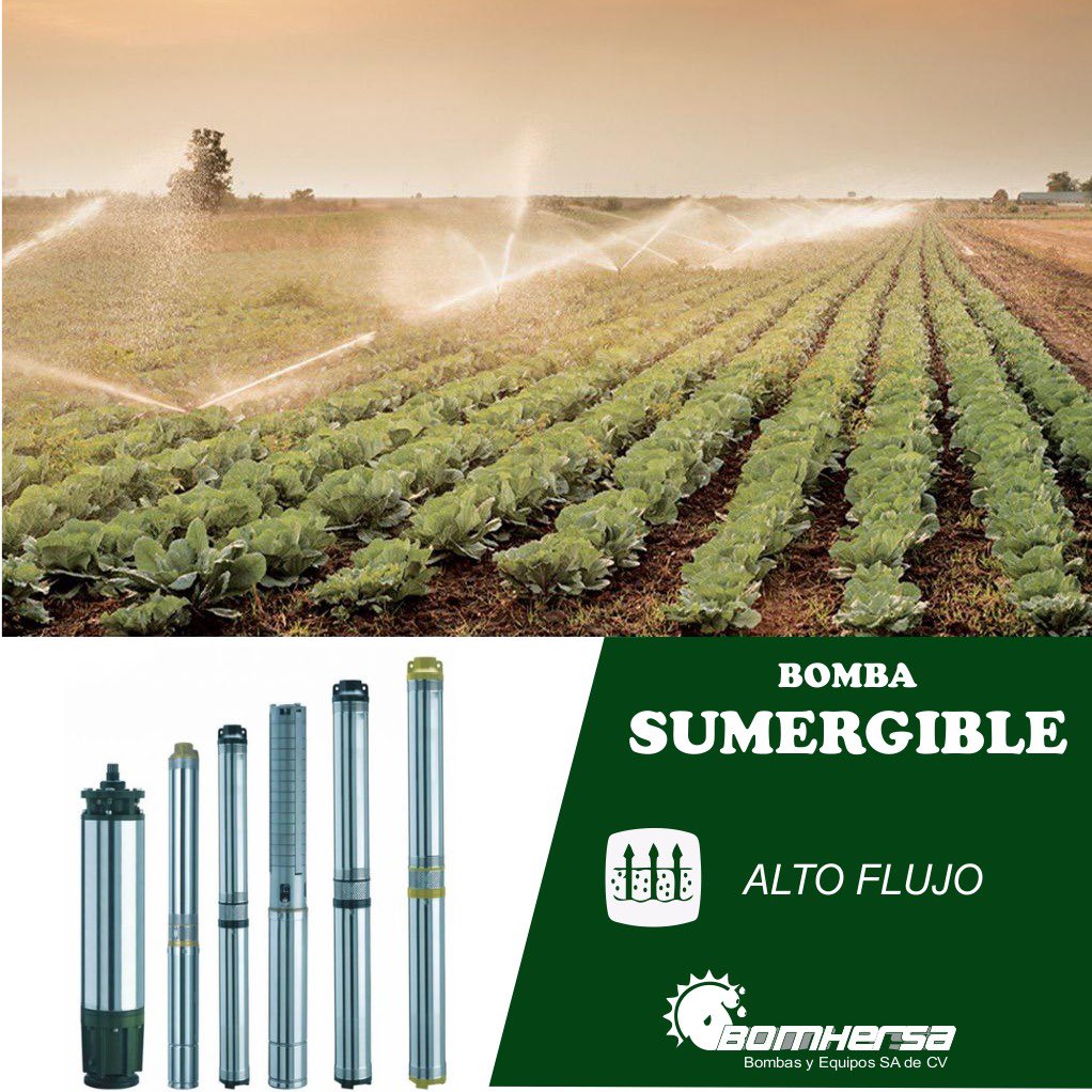 Bomhersa Bombas y Equipos Sa de Cv - Todo lo necesario para tu equipos sumergibles.
- Ideales para la extracción de agua. - #bombassumergibles #dab #aguapotable