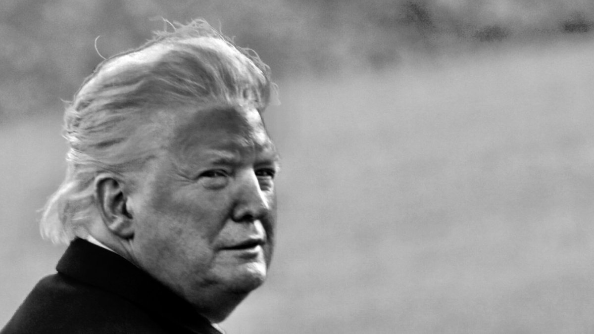 NoCatWomanNoCry's tweet image. La version black (&amp;amp;white) face est parfaitement parfaite 👽🤡 #DonaldFuck